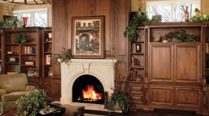 Custom Family Room Cabinets by Arbor Mills