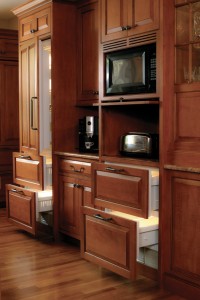 Hidden Appliances with Custom Panels by Arbor Mills