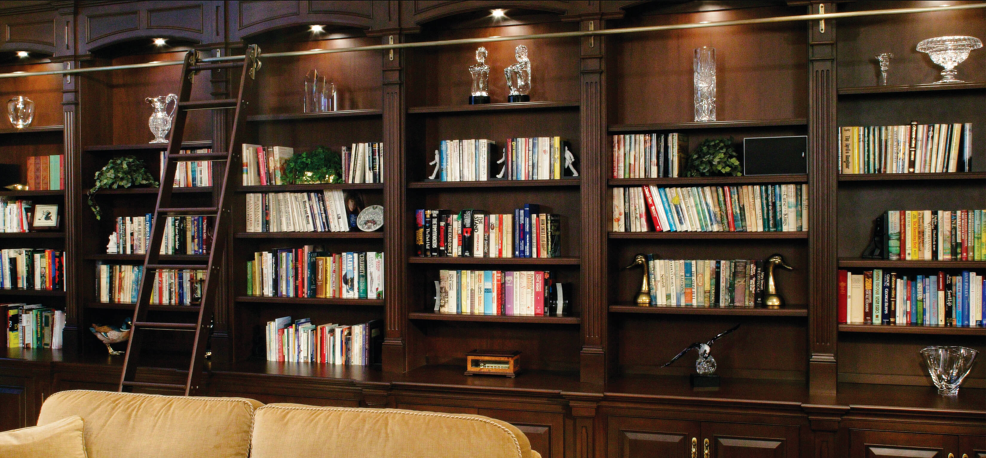 Design a Striking Home Library Shelves and